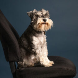 Personalporträtt Malte