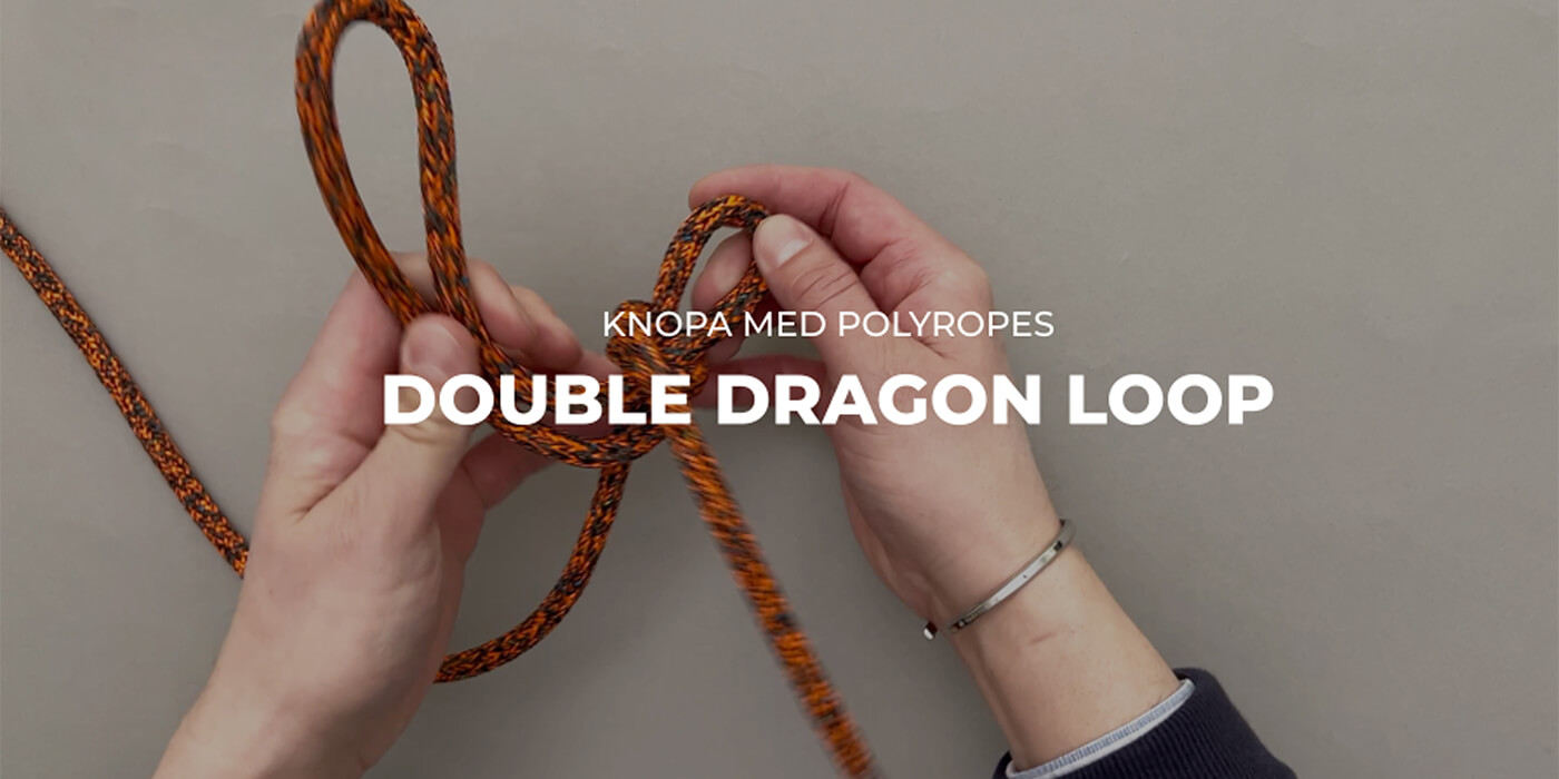 Double dragon loop hero