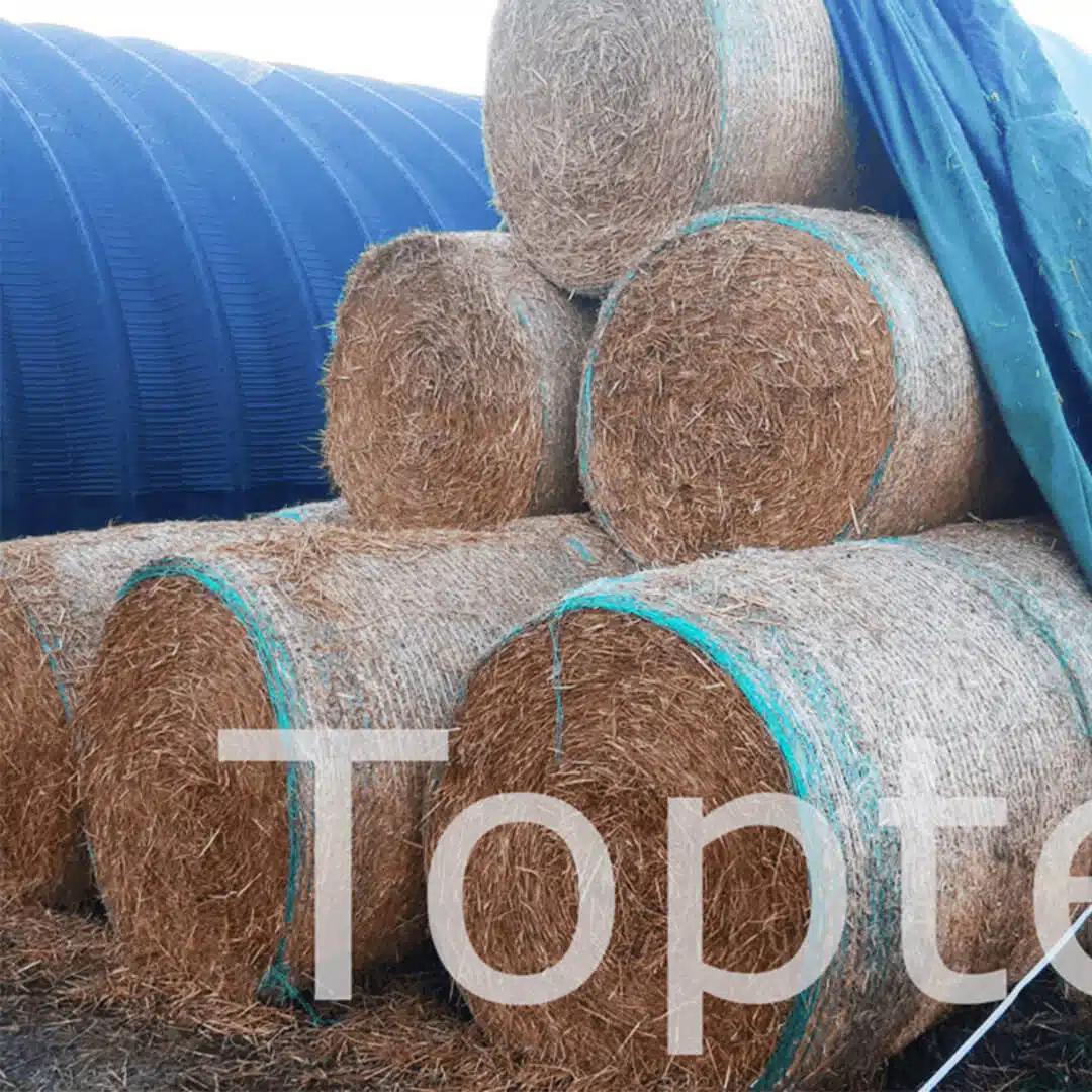 Toptex duk balar ny