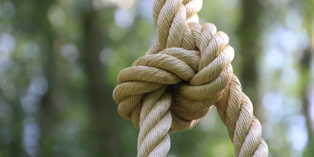 artikel rep och snören för trädgård