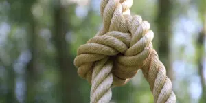 artikel rep och snören för trädgård