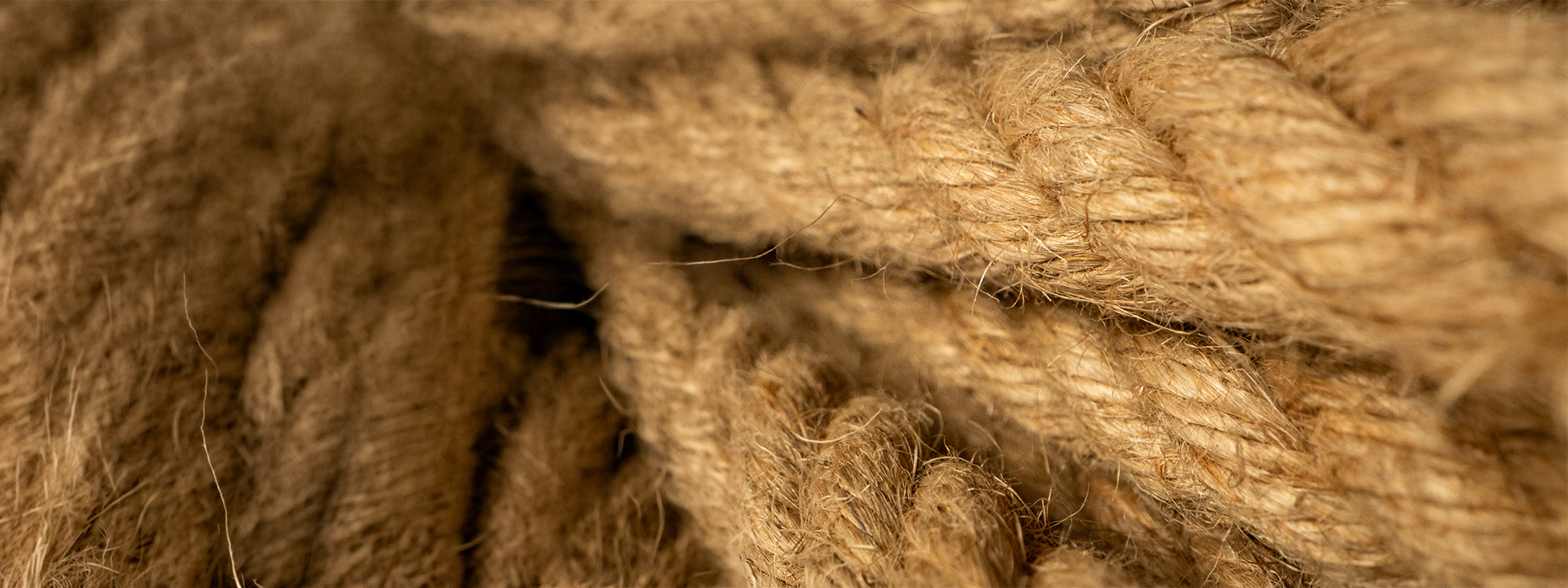 poly-ropes-header-repsnöre-web-v2