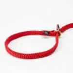 Retrieverkoppel, Ø12 mm, 2 m, platt, Lajka - Bild 2